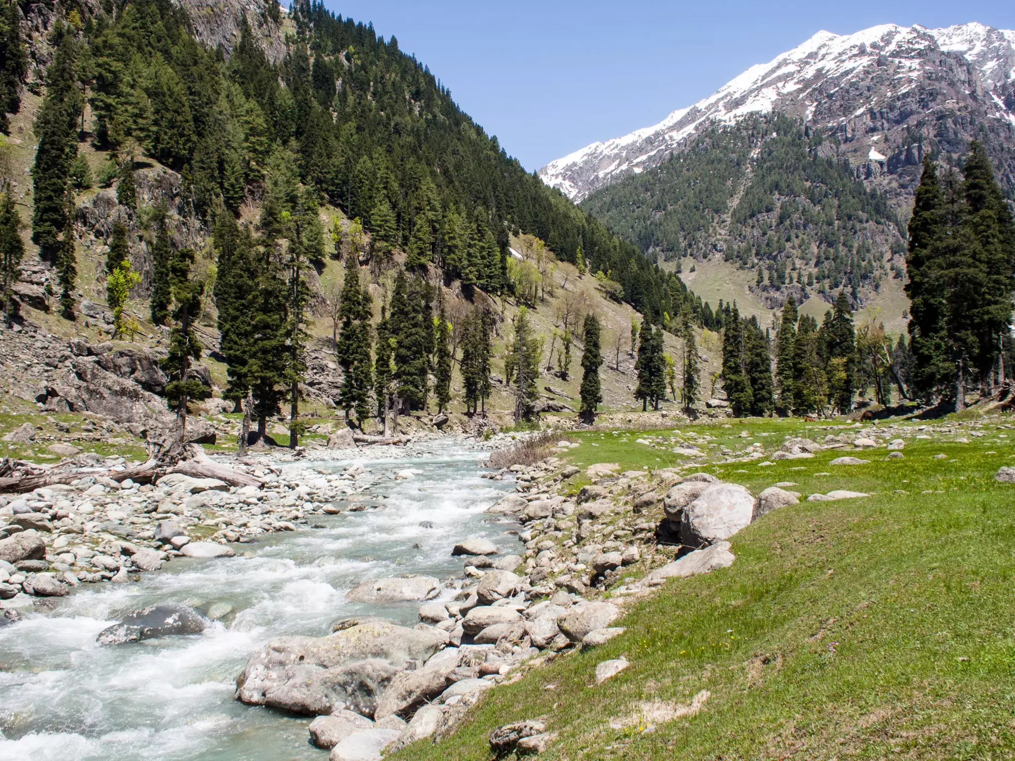 1721888292994-Lidder-Valley-6.webp